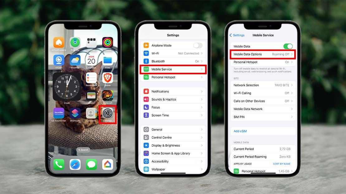 Kaip „iPhone“ telefone įjungti „Roaming“ funkciją? | Bitė Lietuva